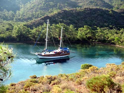 Boat Trip Tour